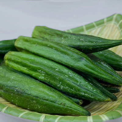 良い値段 真空はフルーツ野菜を乾燥した オンライン