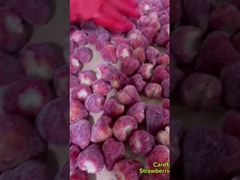 新鮮 な 材料 脆くて 美味しい 冷凍 乾燥 した ストロベリー